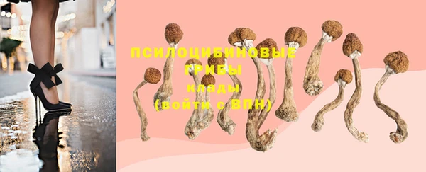 прущие крисы Шадринск