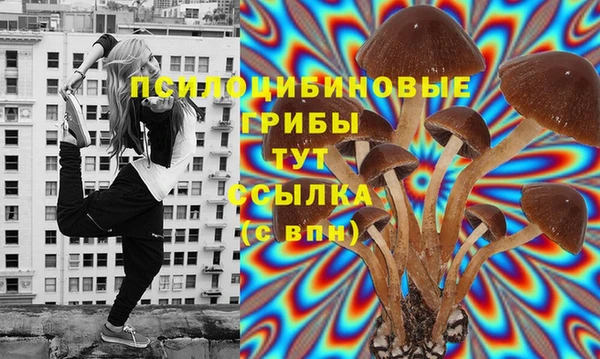 ешки Чердынь