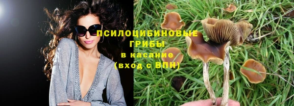 трава Бородино