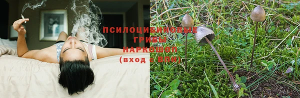мяу мяу кристалл Шали