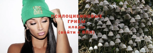 спиды Чегем