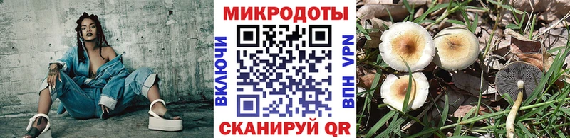 Купить  Короча  Галлюциногенные грибы GOLDEN TEACHER 